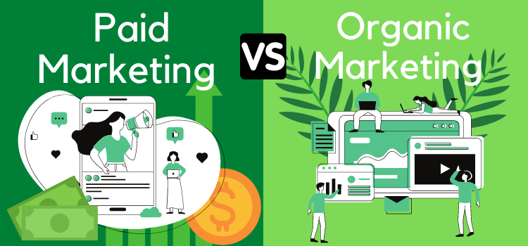 Paid vs Organic Marketing