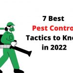 7 Best Pest Control Tactics to Know in 2022