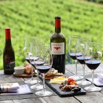 All about Wine tour in Bangalore