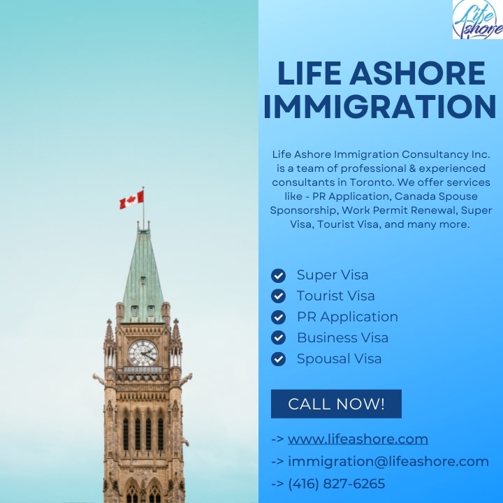 5 Reasons to Use an Immigration Consultant in Brampton