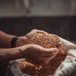 Nutritional Value For Men - Health Benefits of Barley