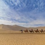 All you Need to Know About Jaisalmer Desert Safari