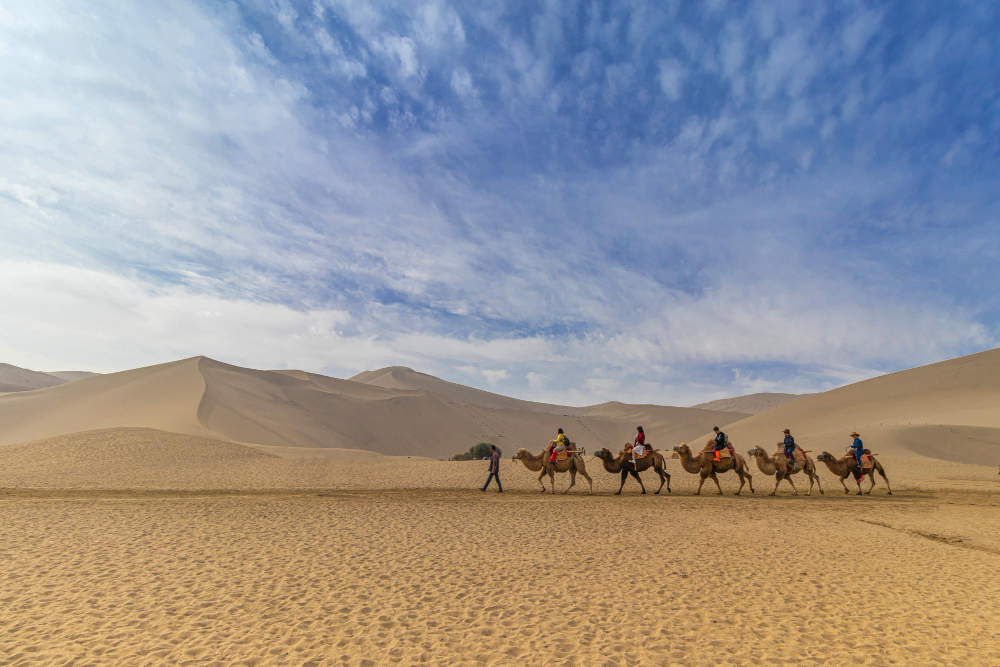 All you Need to Know About Jaisalmer Desert Safari