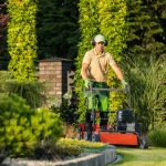 landscaping services in Brampton