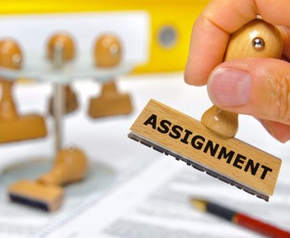 Leadership 101: A Beginner's Guide to Assignment Success