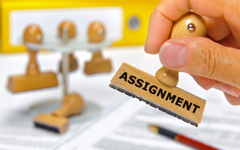 Leadership 101: A Beginner's Guide to Assignment Success