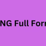 PNG Full Form | What is the Full Form and Use of PNG?