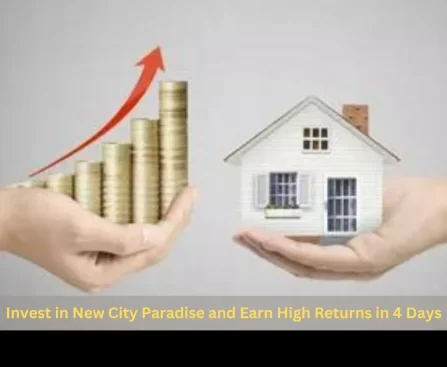 Invest in New City Paradise