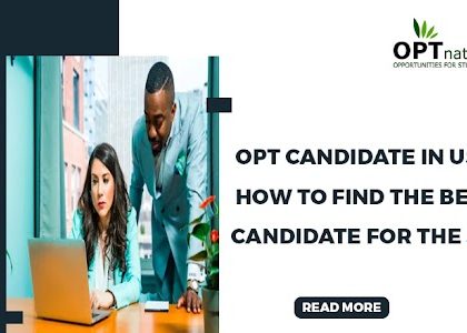 Opt Candidate in USA: How to Find the Best Candidate for the Job
