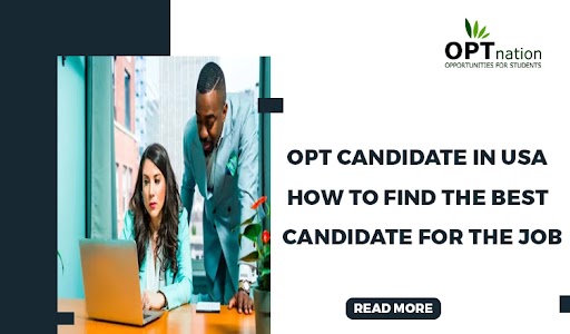 Opt Candidate in USA: How to Find the Best Candidate for the Job