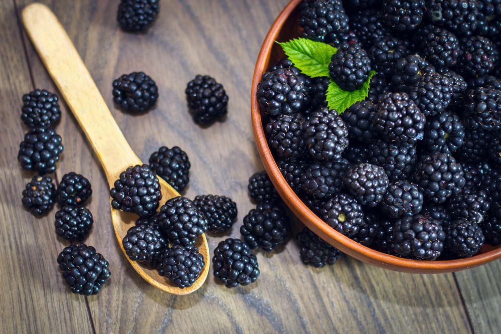 Why Are Blackberries So Beneficial to Men’s Health?