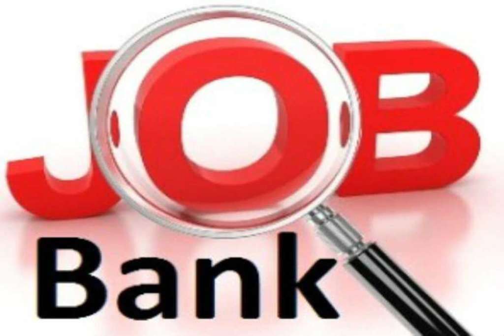 private bank jobs for freshers
