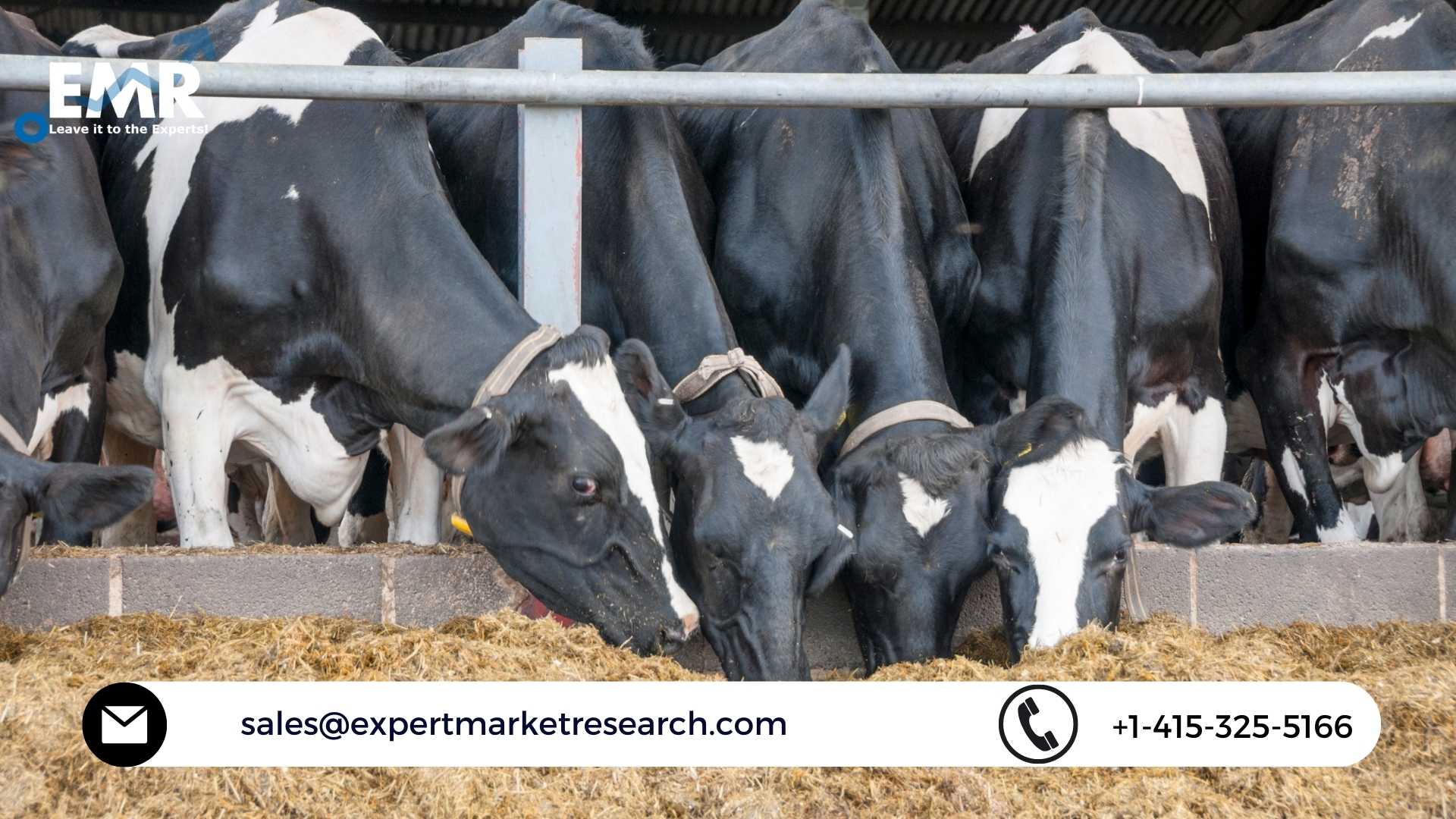 Cattle Feed Market Trends