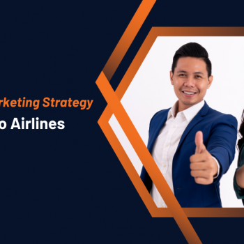 Digital Marketing Strategy of Indigo Airlines