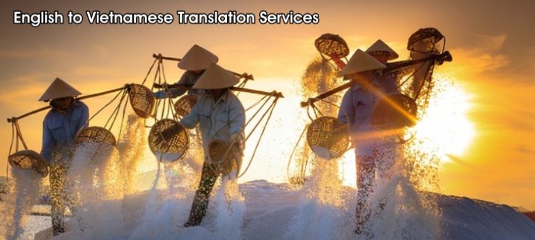 English to Vietnamese translation services