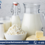 Middle East and Africa Dairy Market