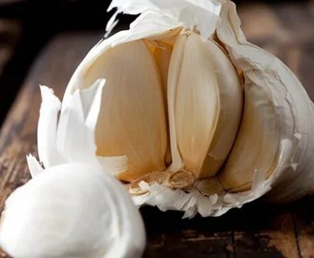 Men's Health- Garlic Therapy for Erectile Dysfunction