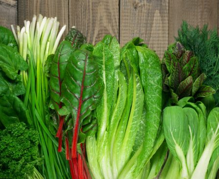 Why Do Younger Individuals Eat Extra Inexperienced Greens and Fruits?